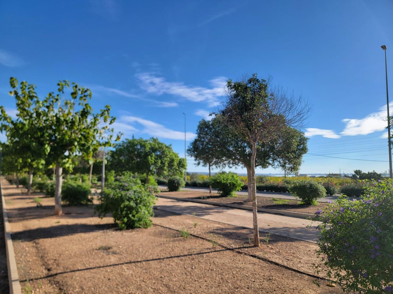 Apartment for Sale in Torrevieja, Alicante