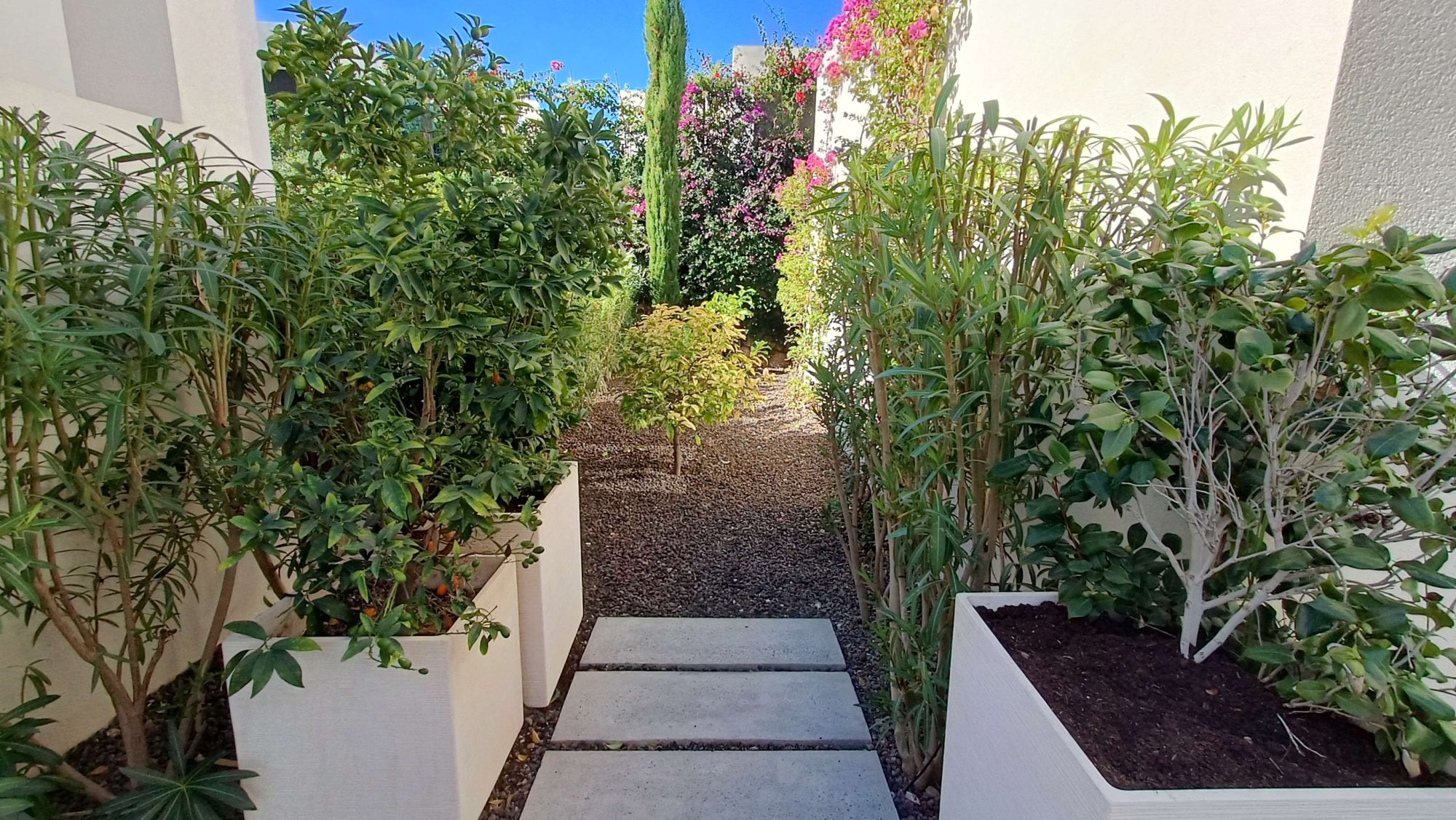 Villa for Sale in Algorfa, Alicante