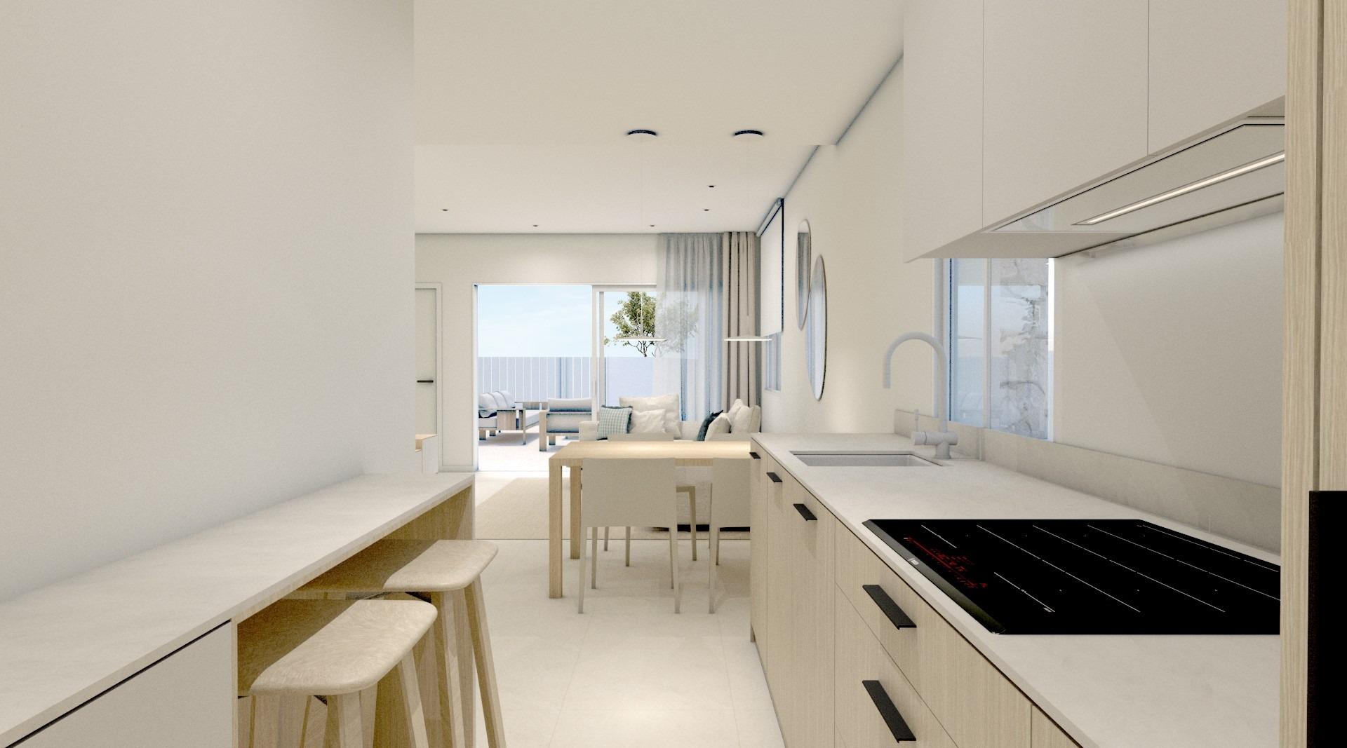 Modern Apartments of New Construction in Catral