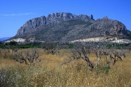 New Build Villas for Sale in Las Heredades, Costa Blanca