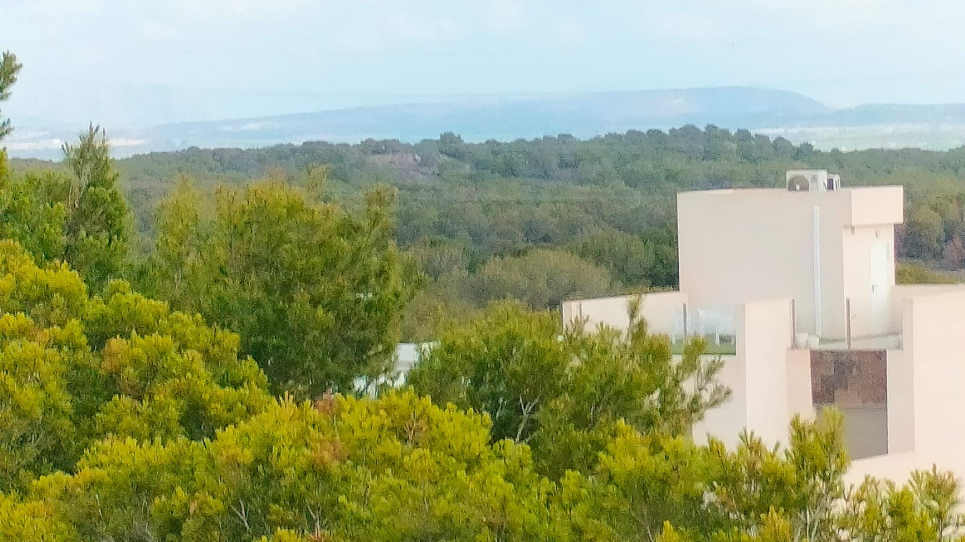 New Build Apartments 200 Metres from the Sea in Torrevieja