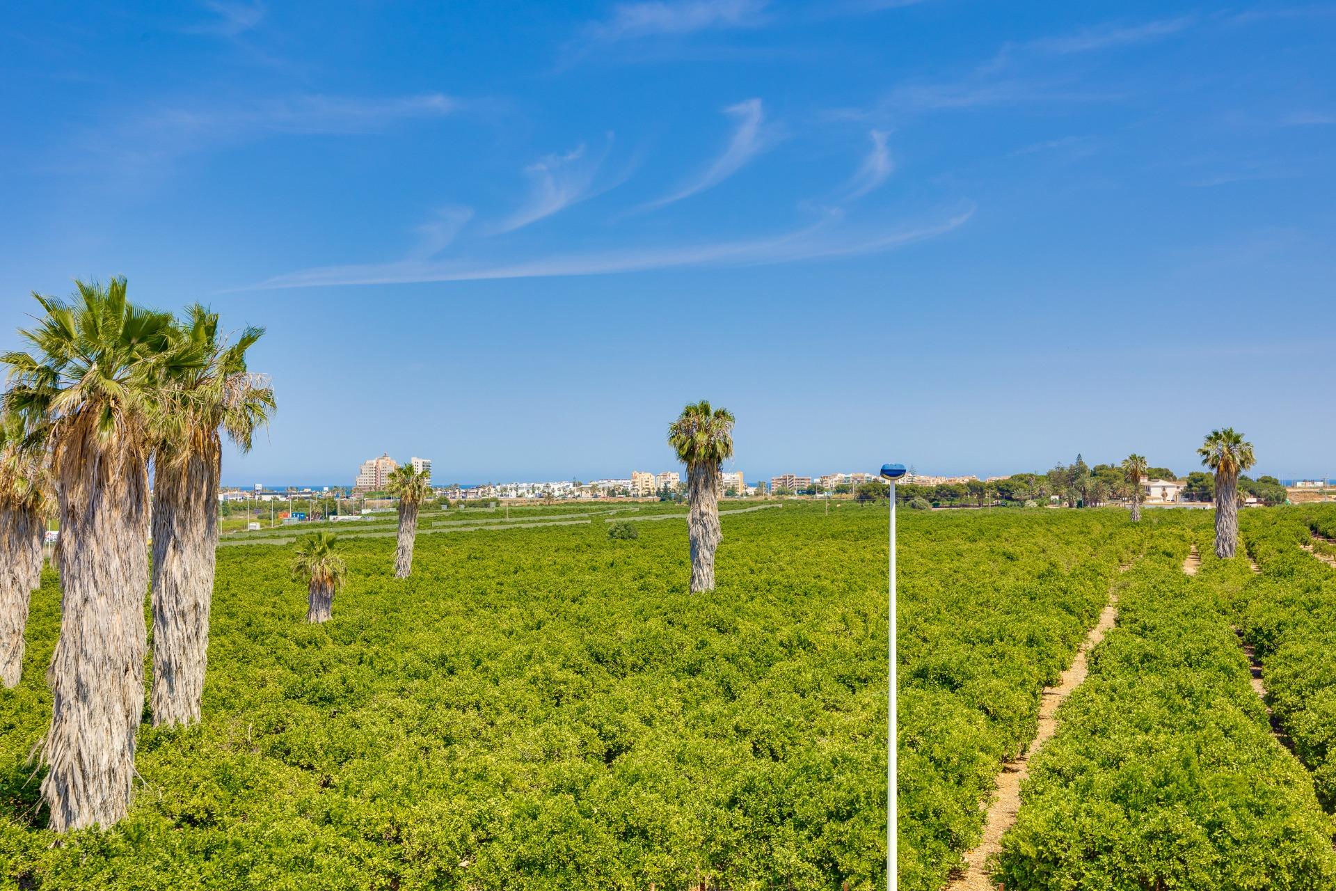 Town House for Sale in Torrevieja, Alicante