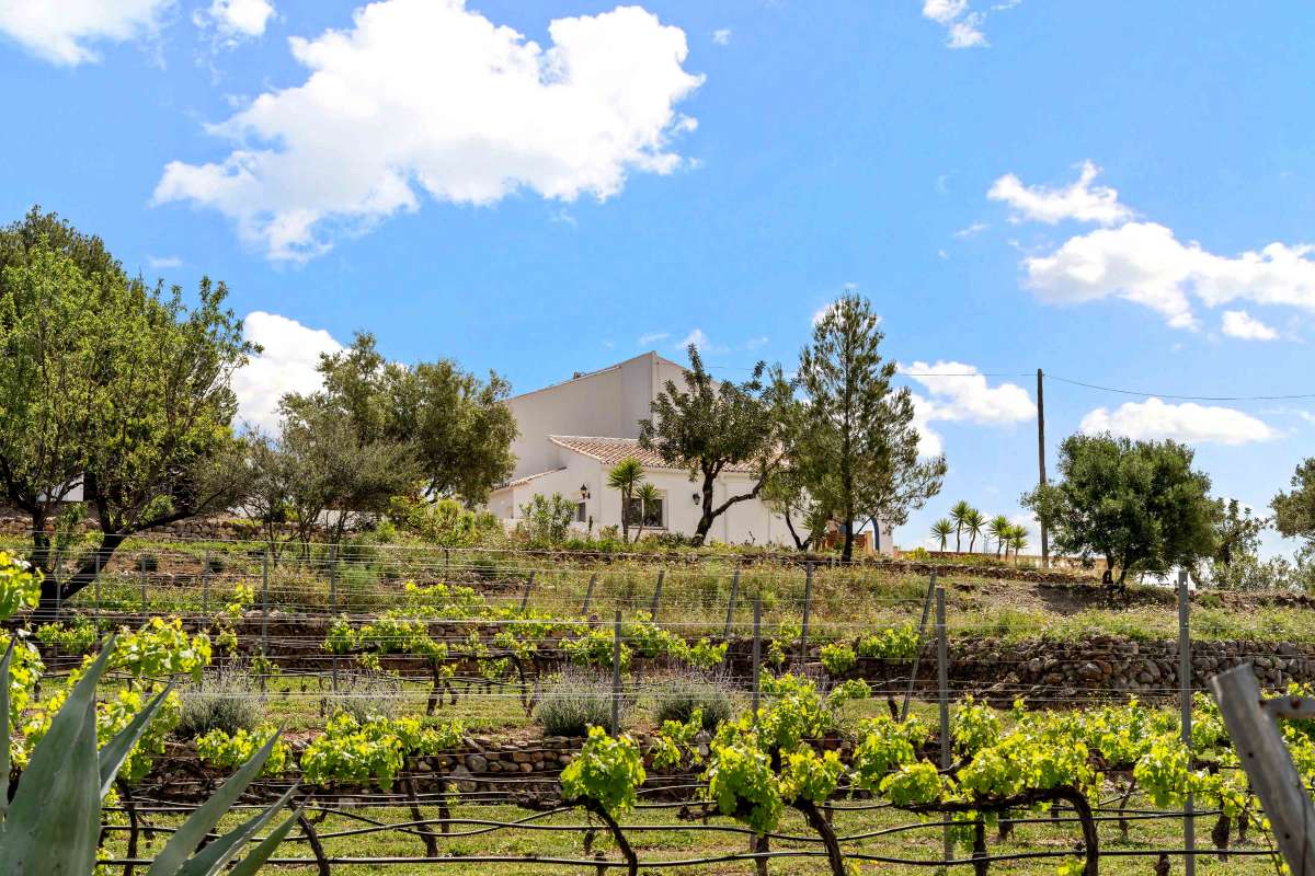 Villa for Sale in Murla, Alicante