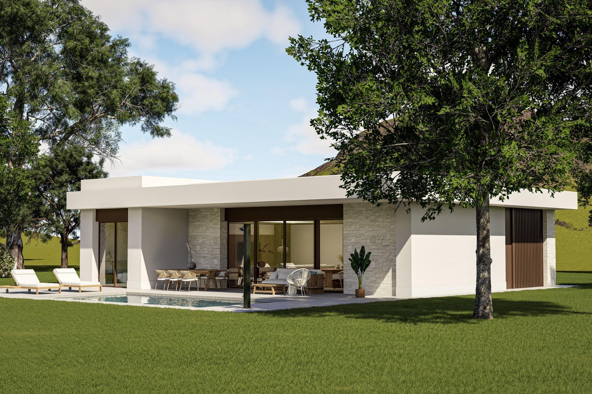 Custom Built New Villas in Pinoso (Alicante): Spacious Homes in Natural Surroundings