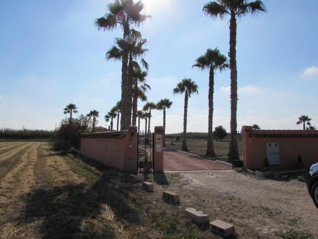 Finca for Sale in Dolores, Alicante