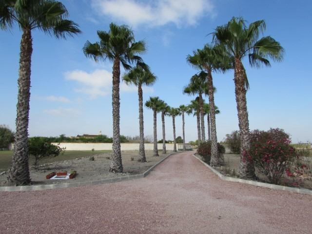 Finca for Sale in Dolores, Alicante