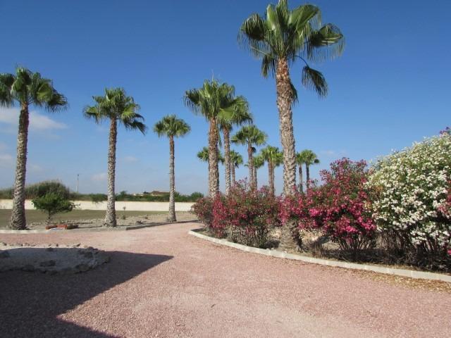 Finca for Sale in Dolores, Alicante