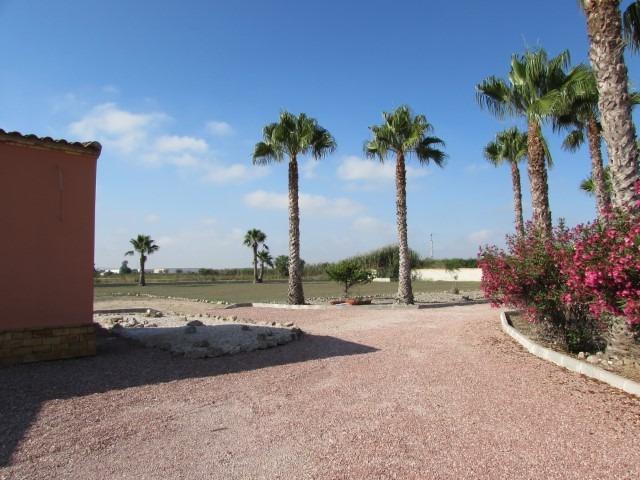 Finca for Sale in Dolores, Alicante