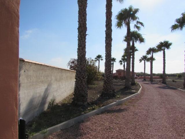 Finca for Sale in Dolores, Alicante