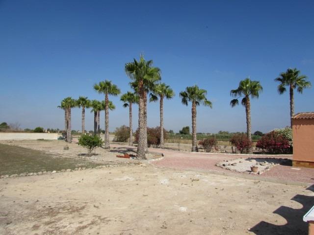 Finca for Sale in Dolores, Alicante