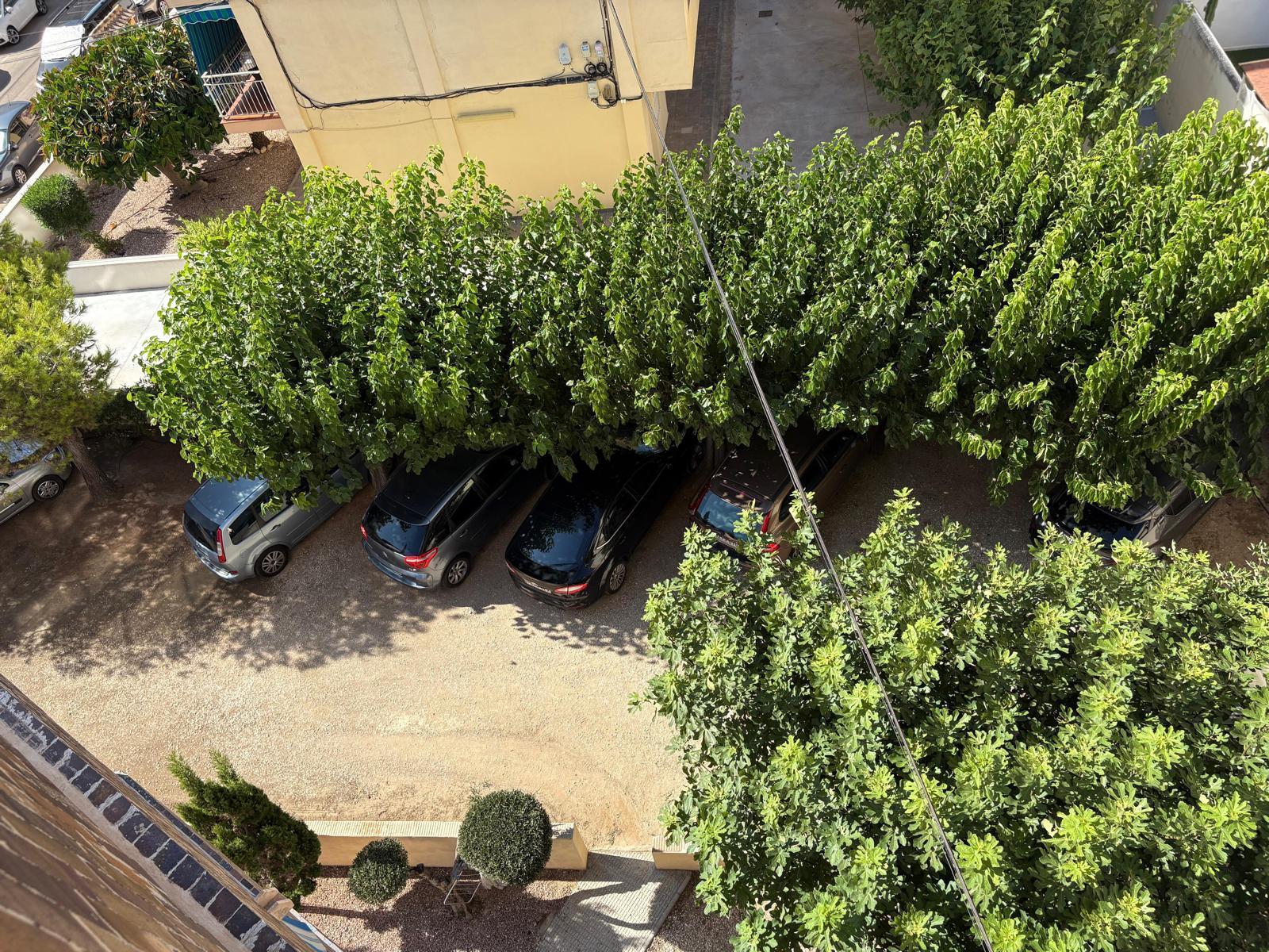 Apartment for Sale in Torrevieja, Alicante