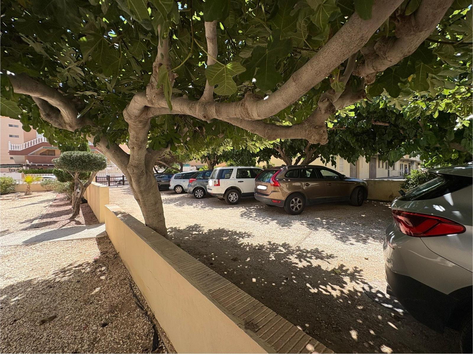 Apartment for Sale in Torrevieja, Alicante