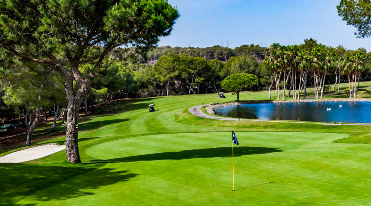 Apartment for Sale in Cabo Roig, Alicante
