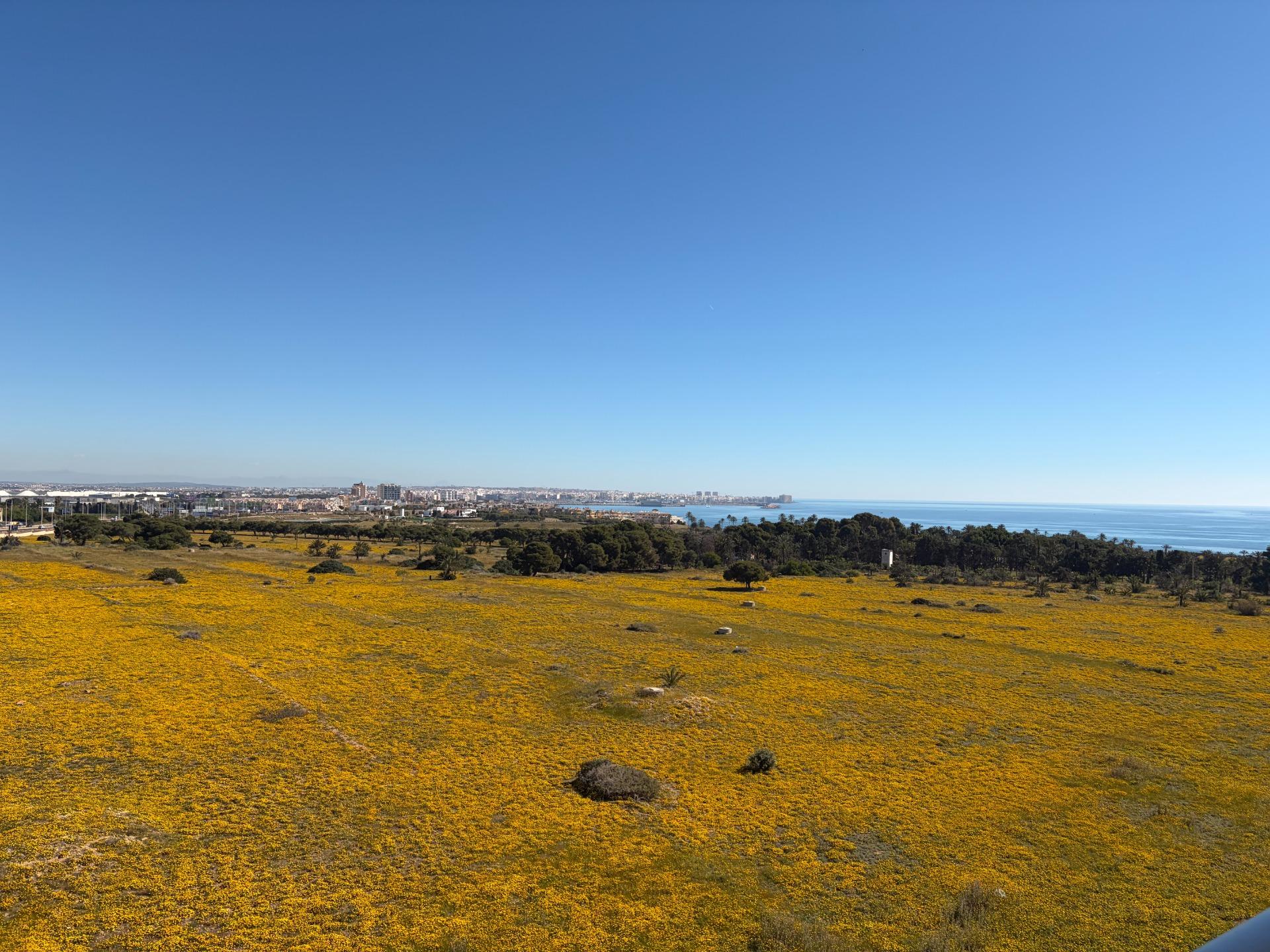 Bungalow for Sale in Orihuela Costa, Alicante