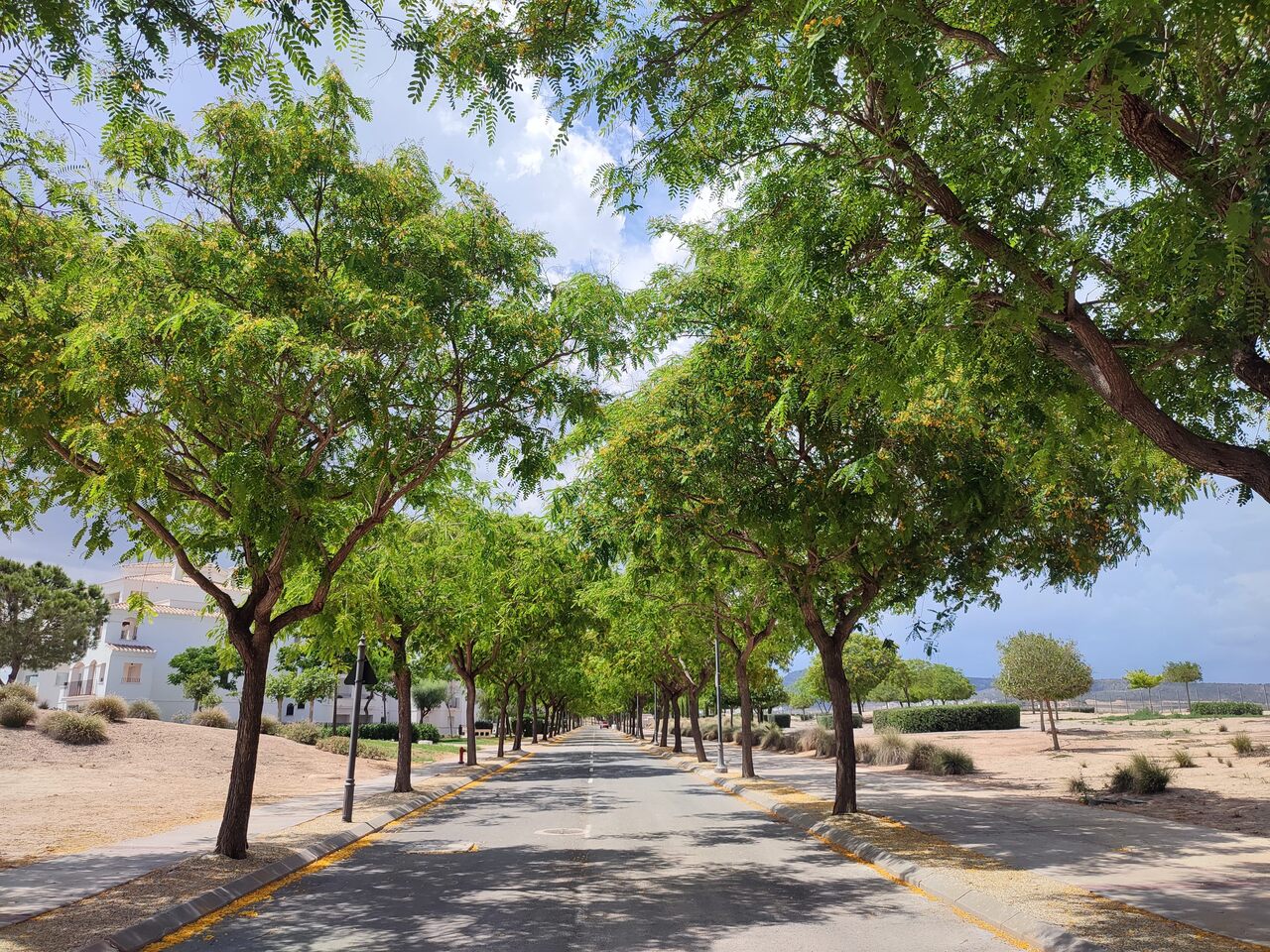 Apartment for Sale in Hacienda Riquelme Golf Resort, Murcia