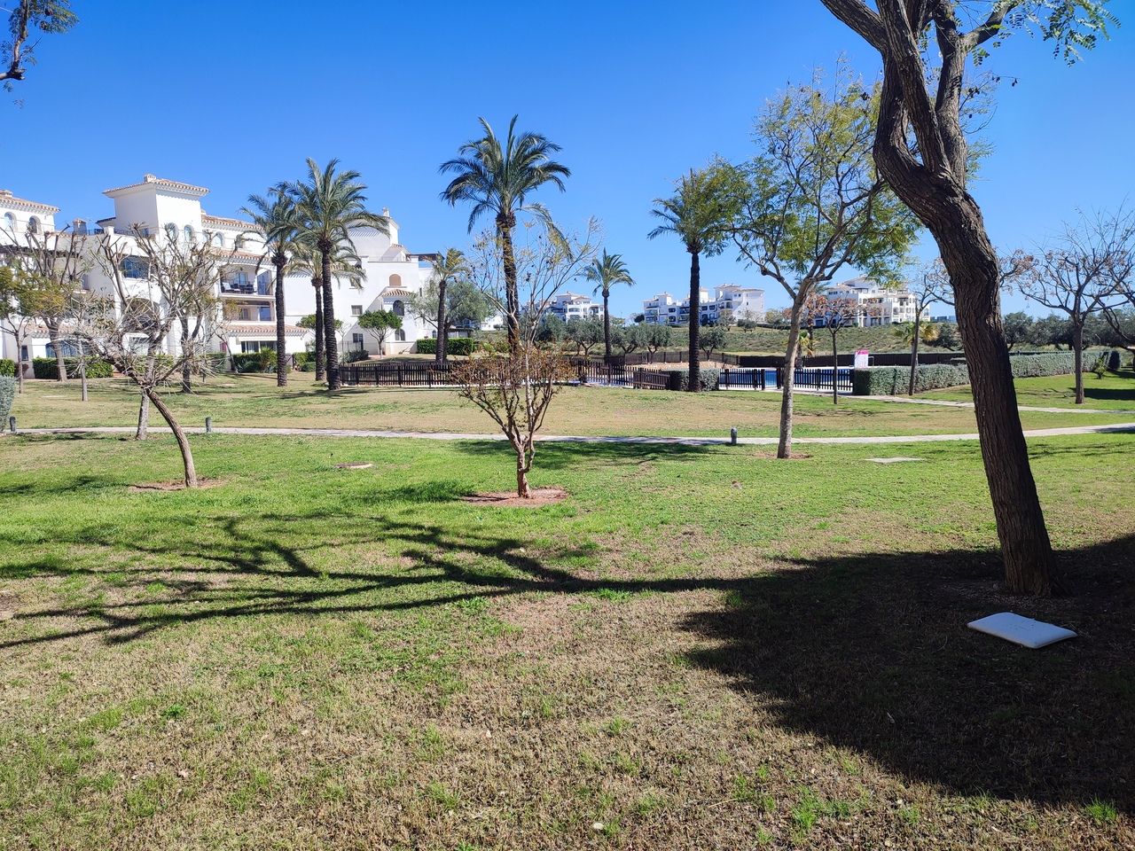 Apartment for Sale in Hacienda Riquelme Golf Resort, Murcia