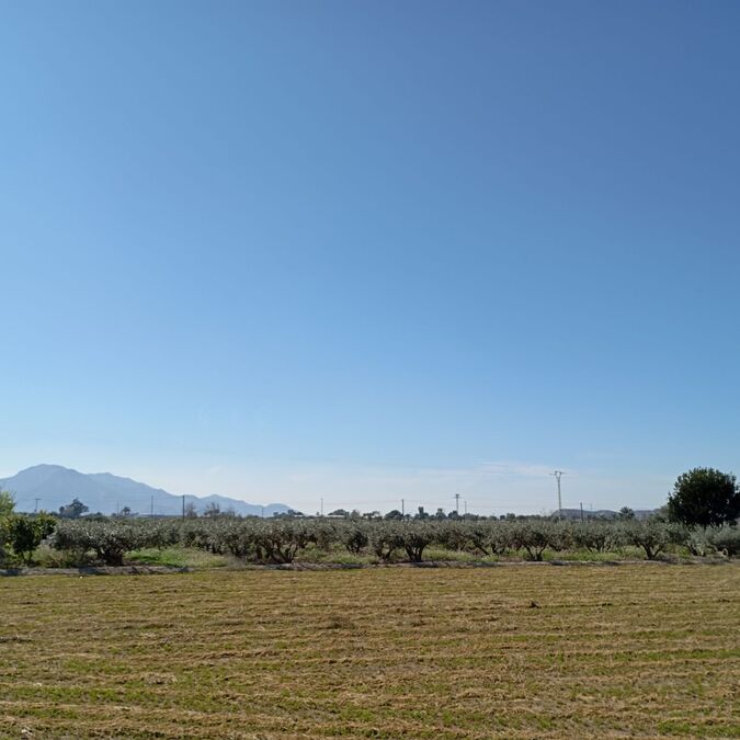 Town House for Sale in Catral, Alicante