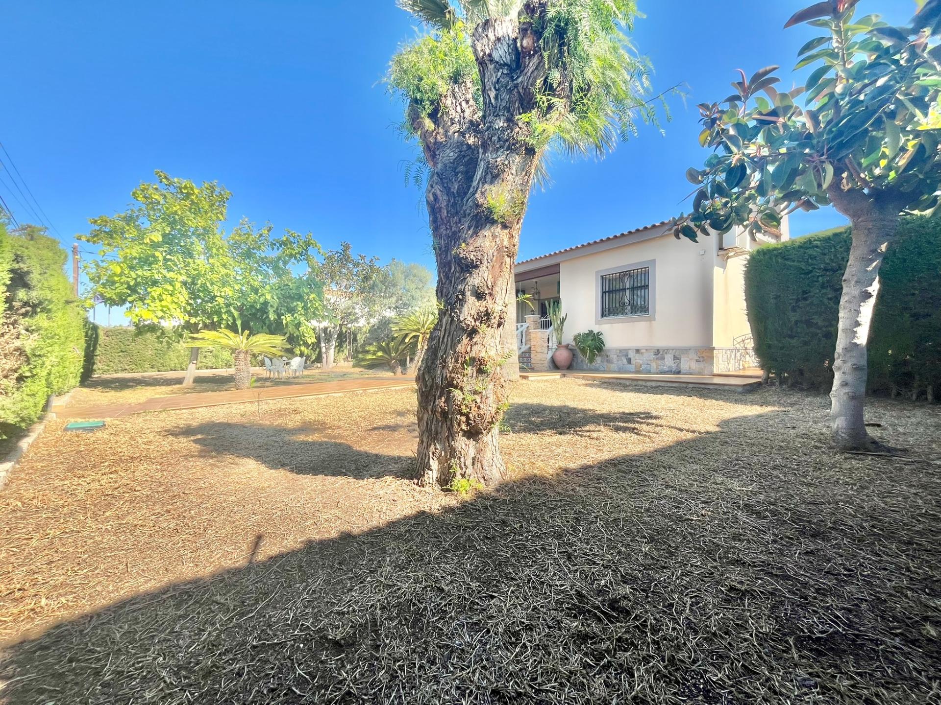 Villa for Sale in Torrevieja, Alicante