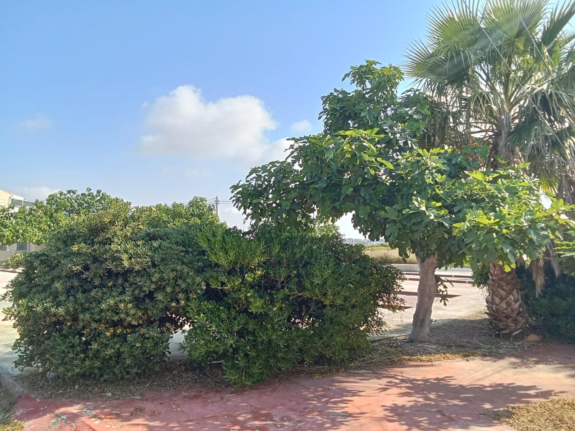Villa for Sale in Orihuela Costa, Alicante