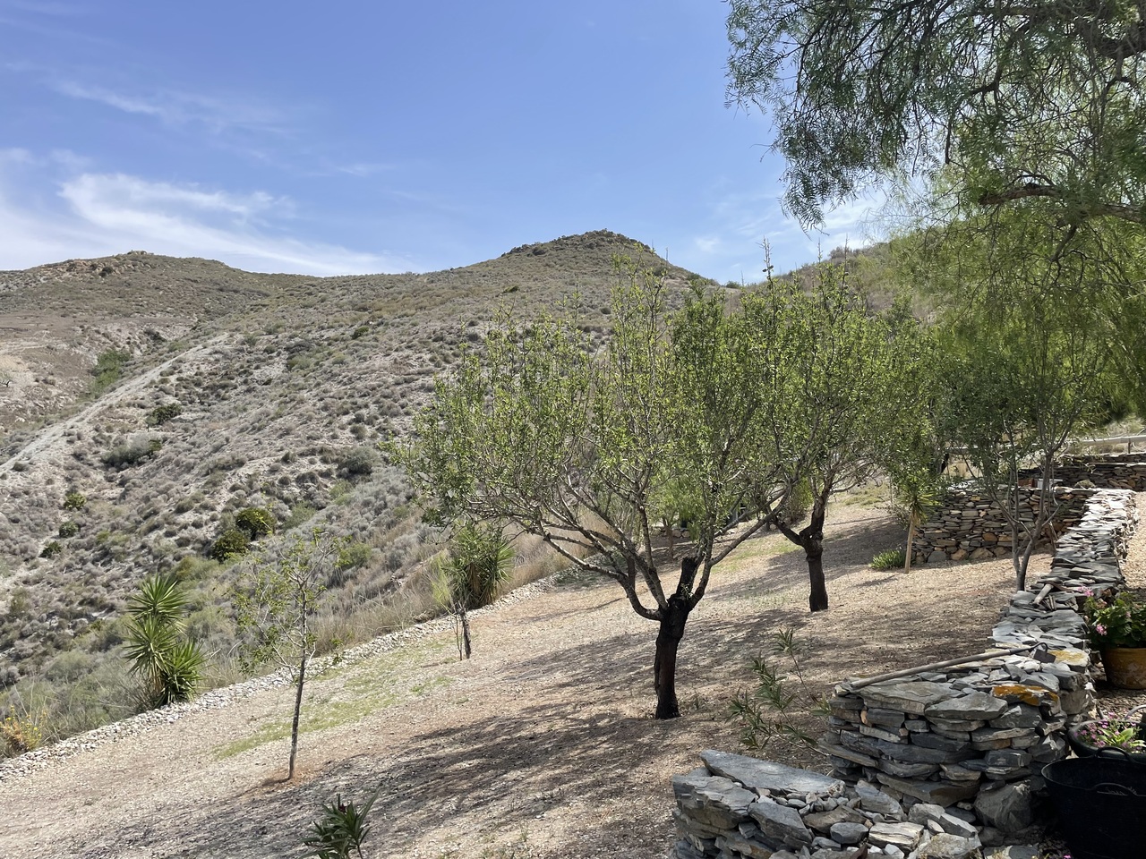 Country House for Sale in Cartagena, Murcia