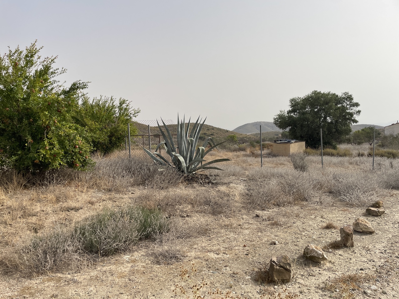 Country House for Sale in La Pinilla, Murcia