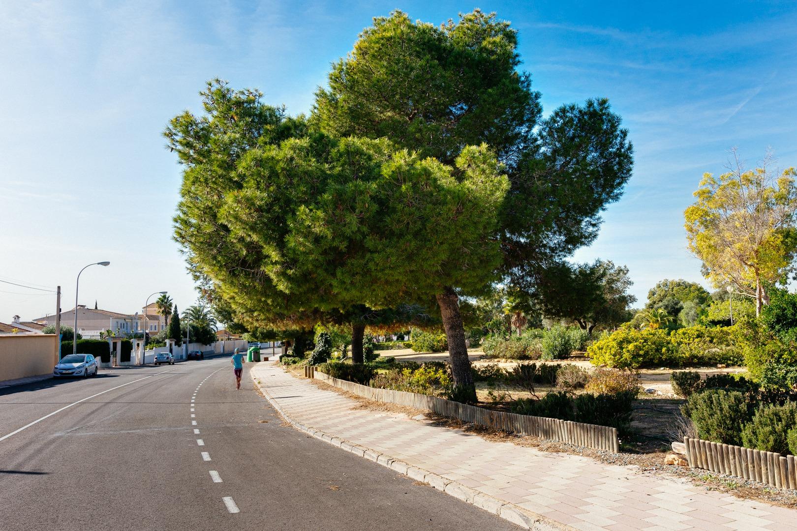 Bungalow for Sale in Torrevieja, Alicante