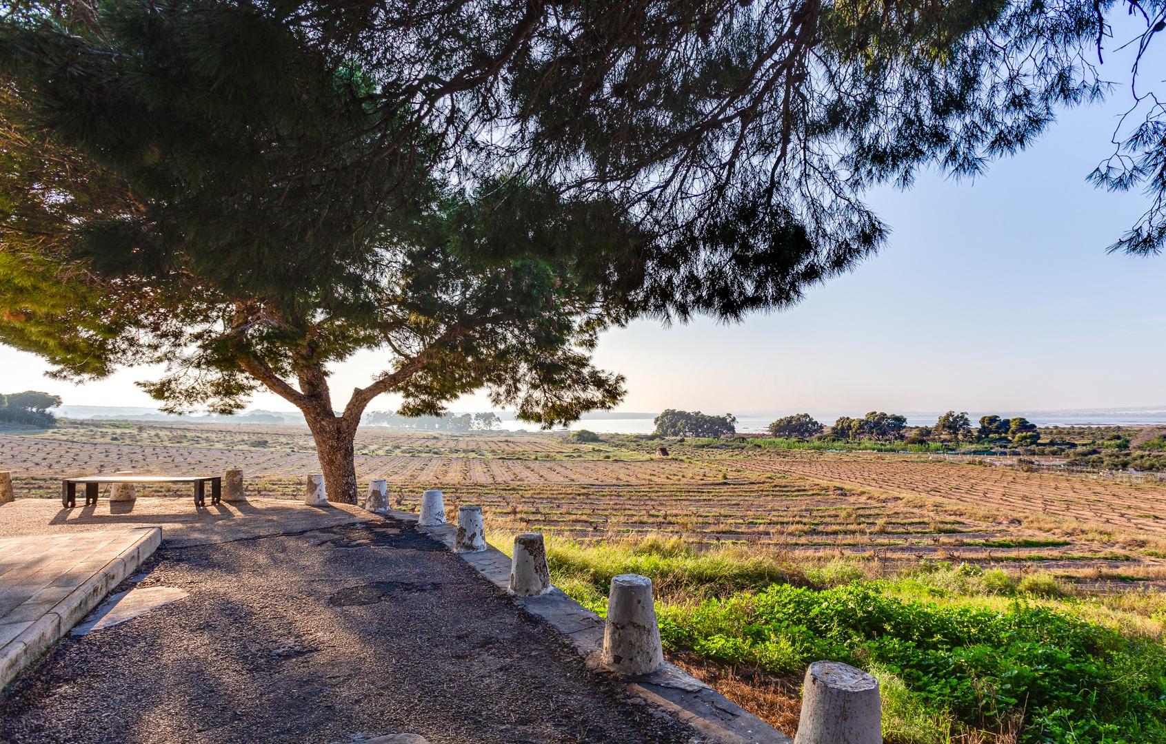 Bungalow for Sale in Torrevieja, Alicante