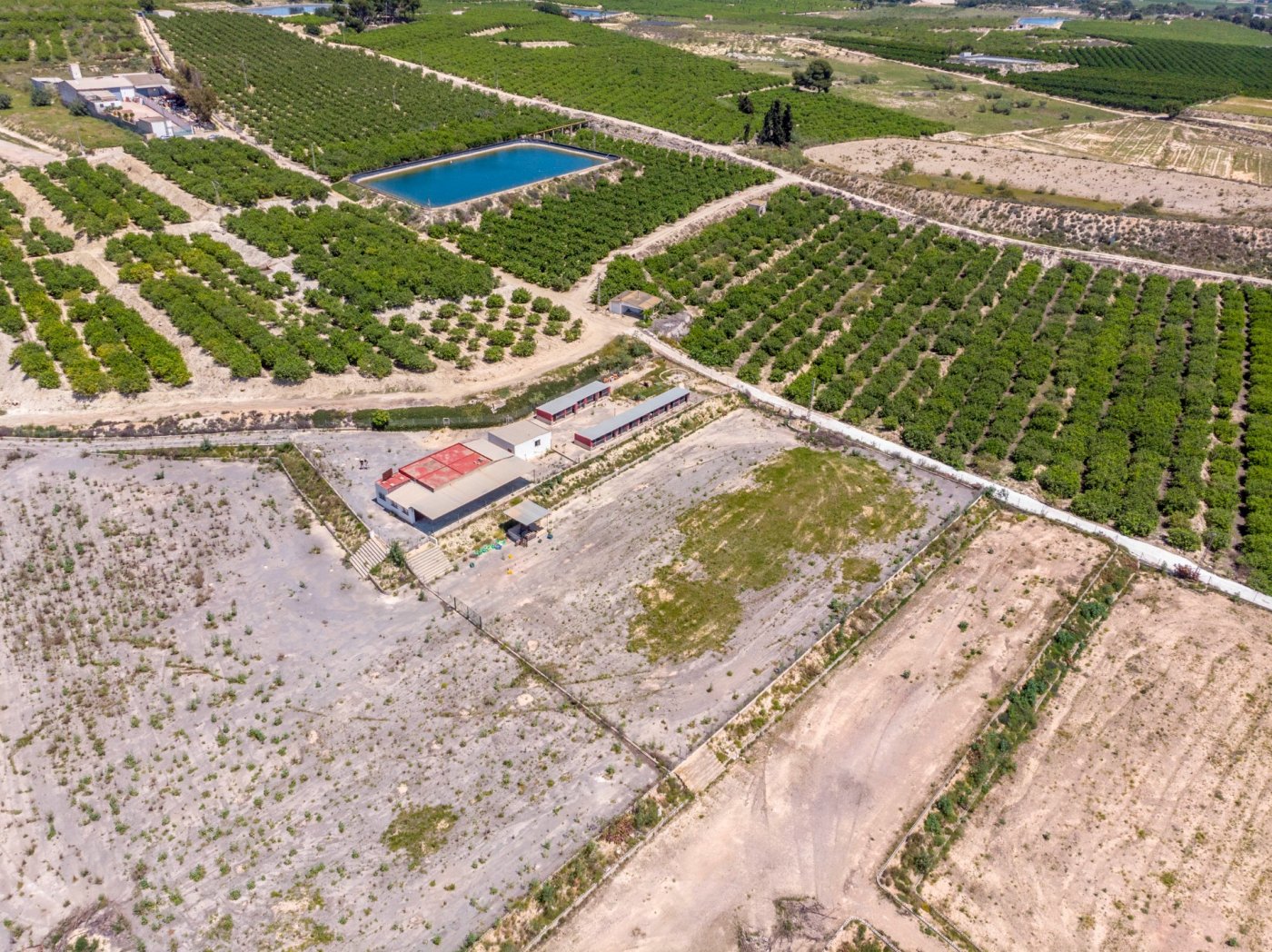 Finca for Sale in Los Montesinos, Alicante