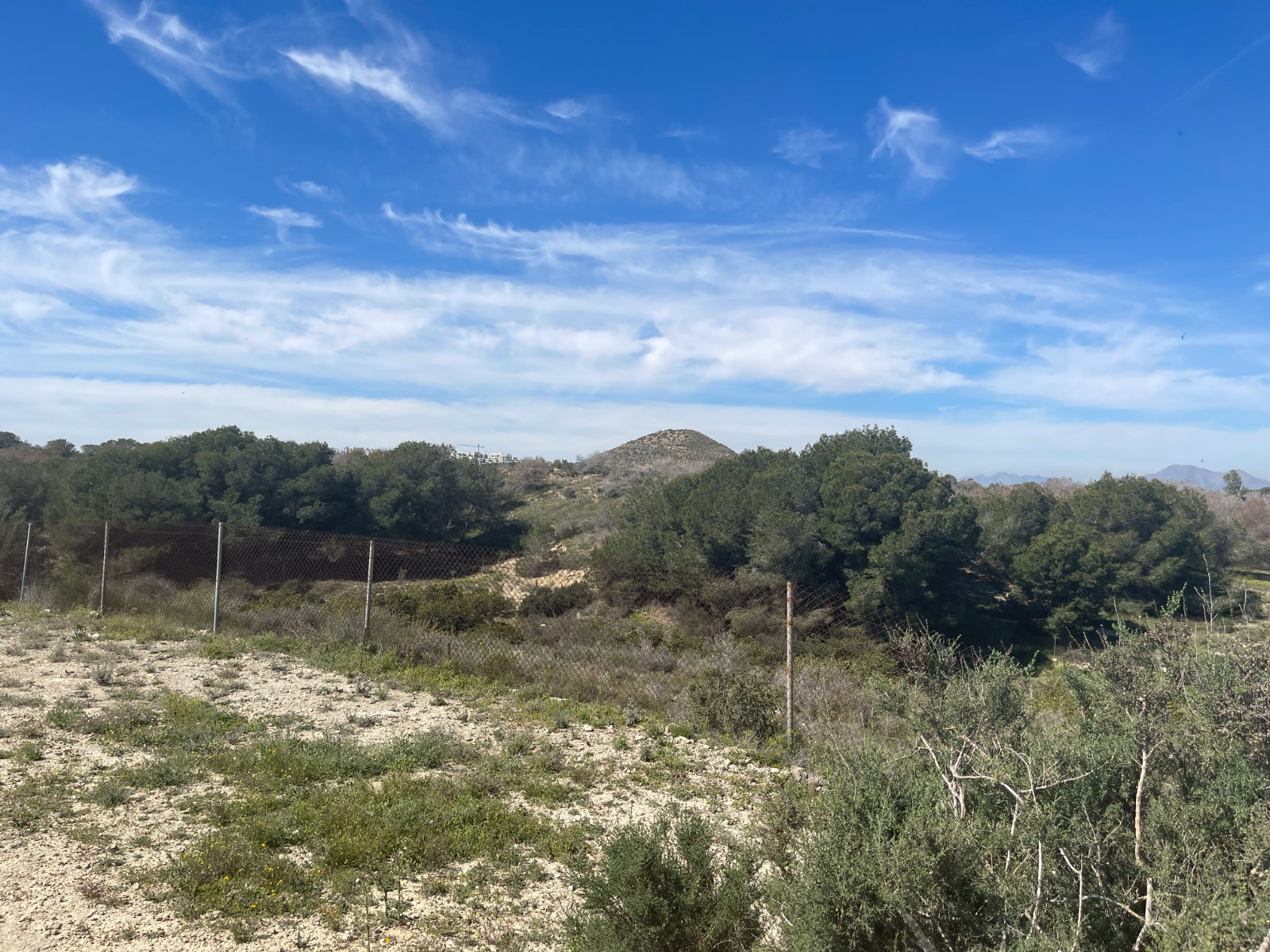 Villa for Sale in Guardamar del Segura, Alicante