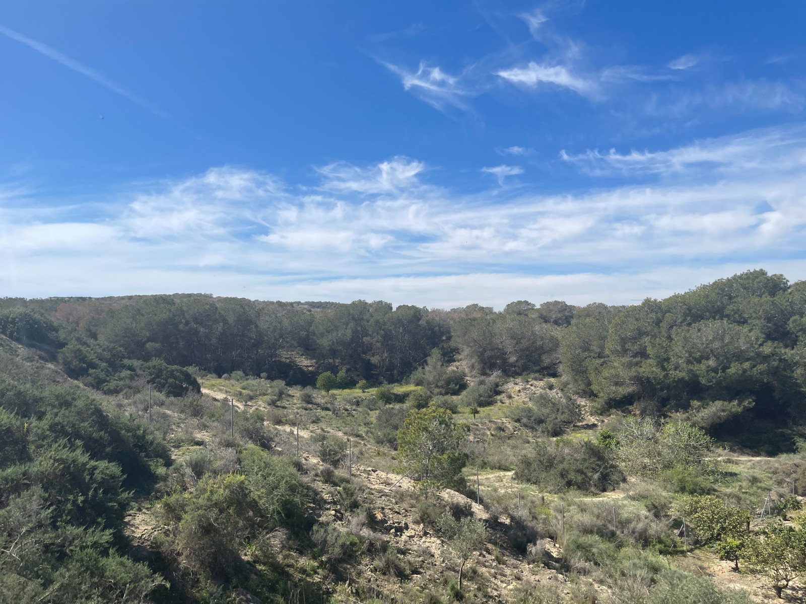Villa for Sale in Guardamar del Segura, Alicante