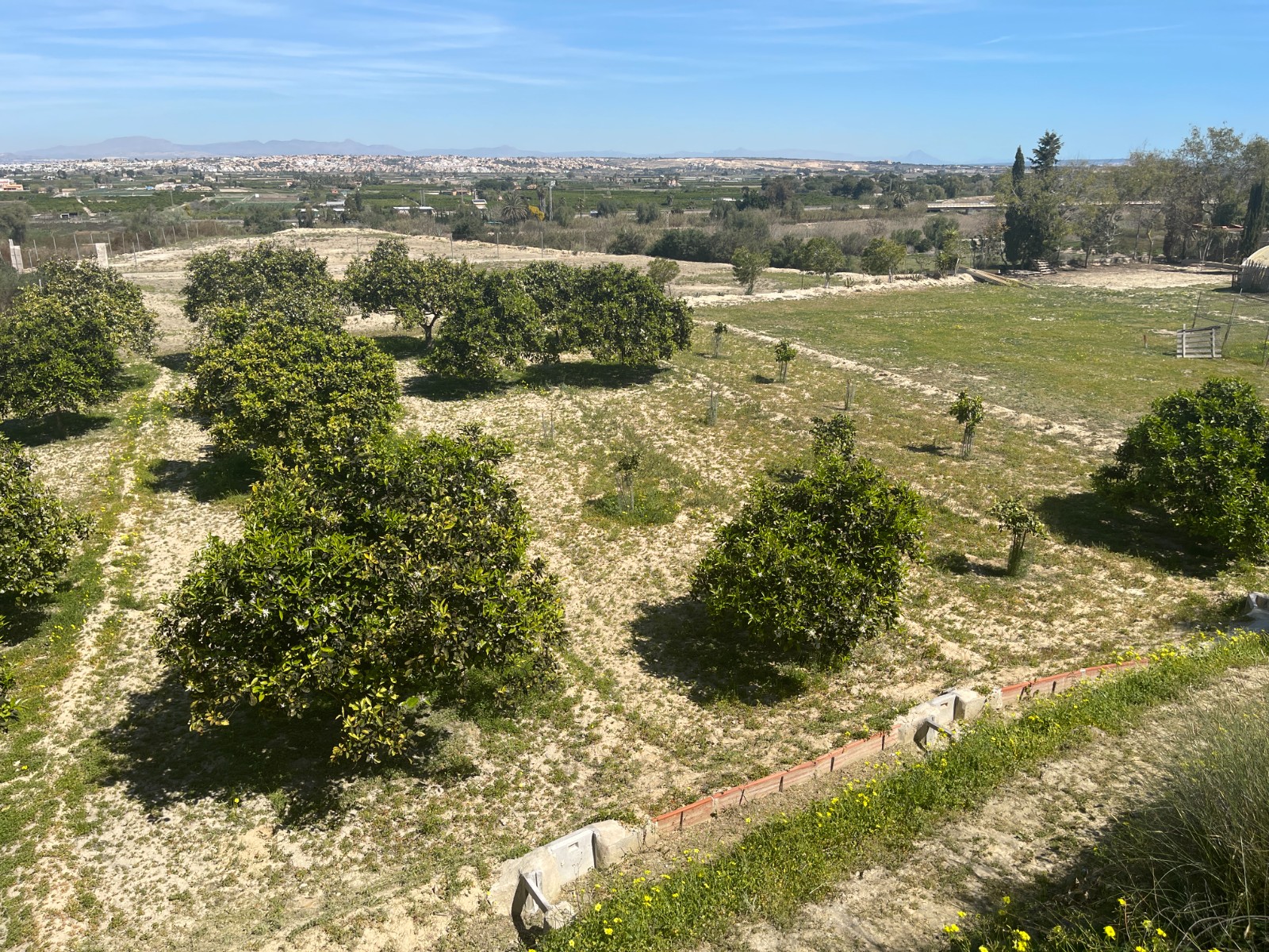 Villa for Sale in Guardamar del Segura, Alicante