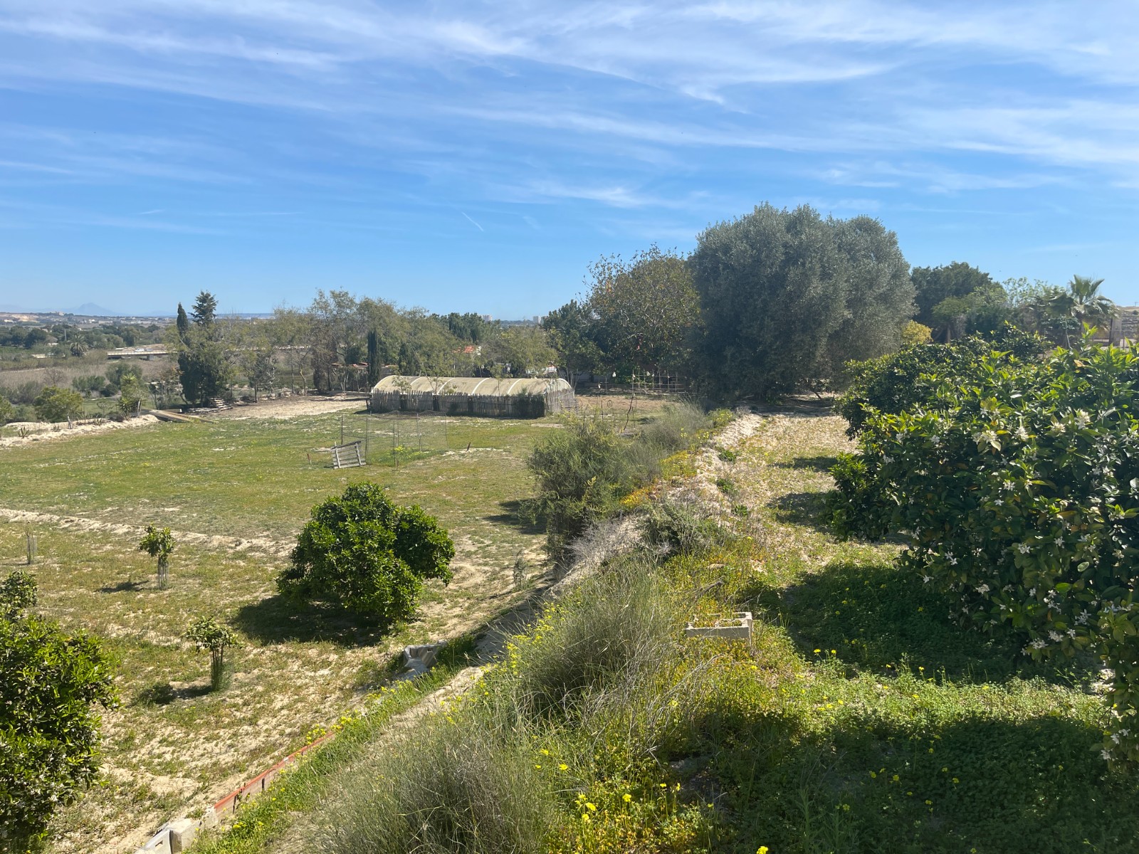 Villa for Sale in Guardamar del Segura, Alicante