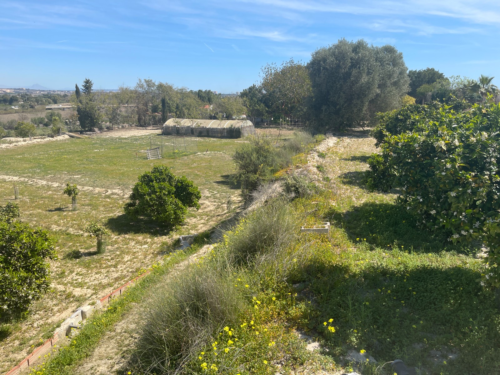 Villa for Sale in Guardamar del Segura, Alicante