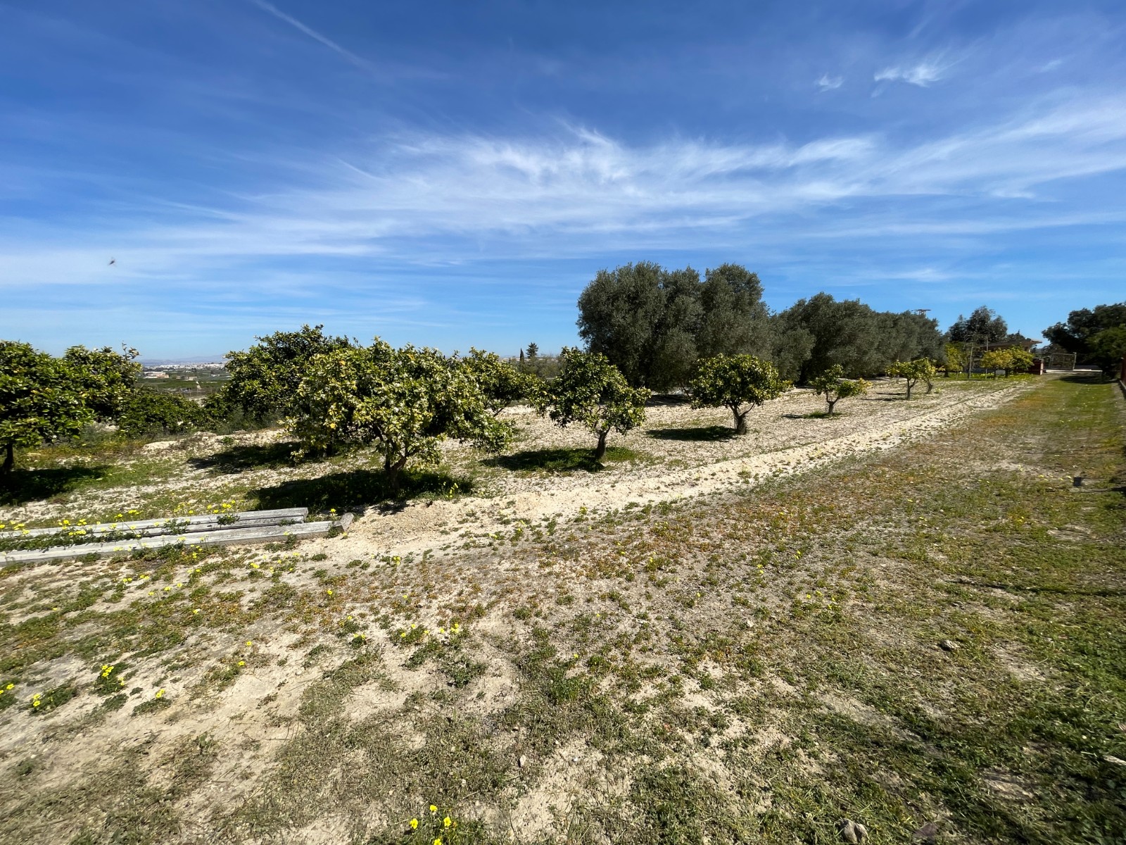 Villa for Sale in Guardamar del Segura, Alicante