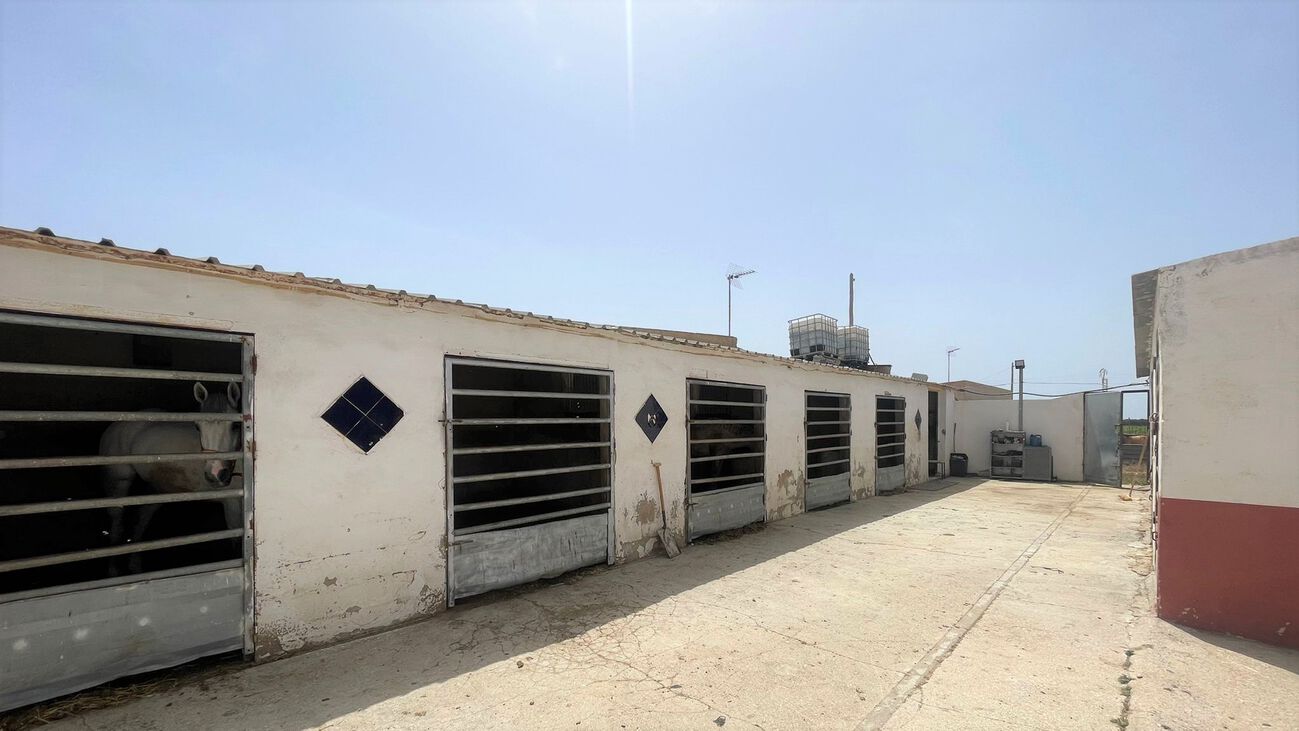 Commercial for Sale in Balsicas, Murcia