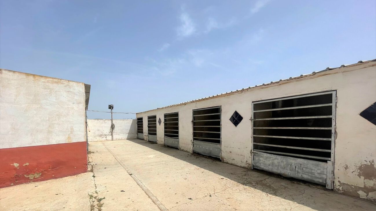 Commercial for Sale in Balsicas, Murcia