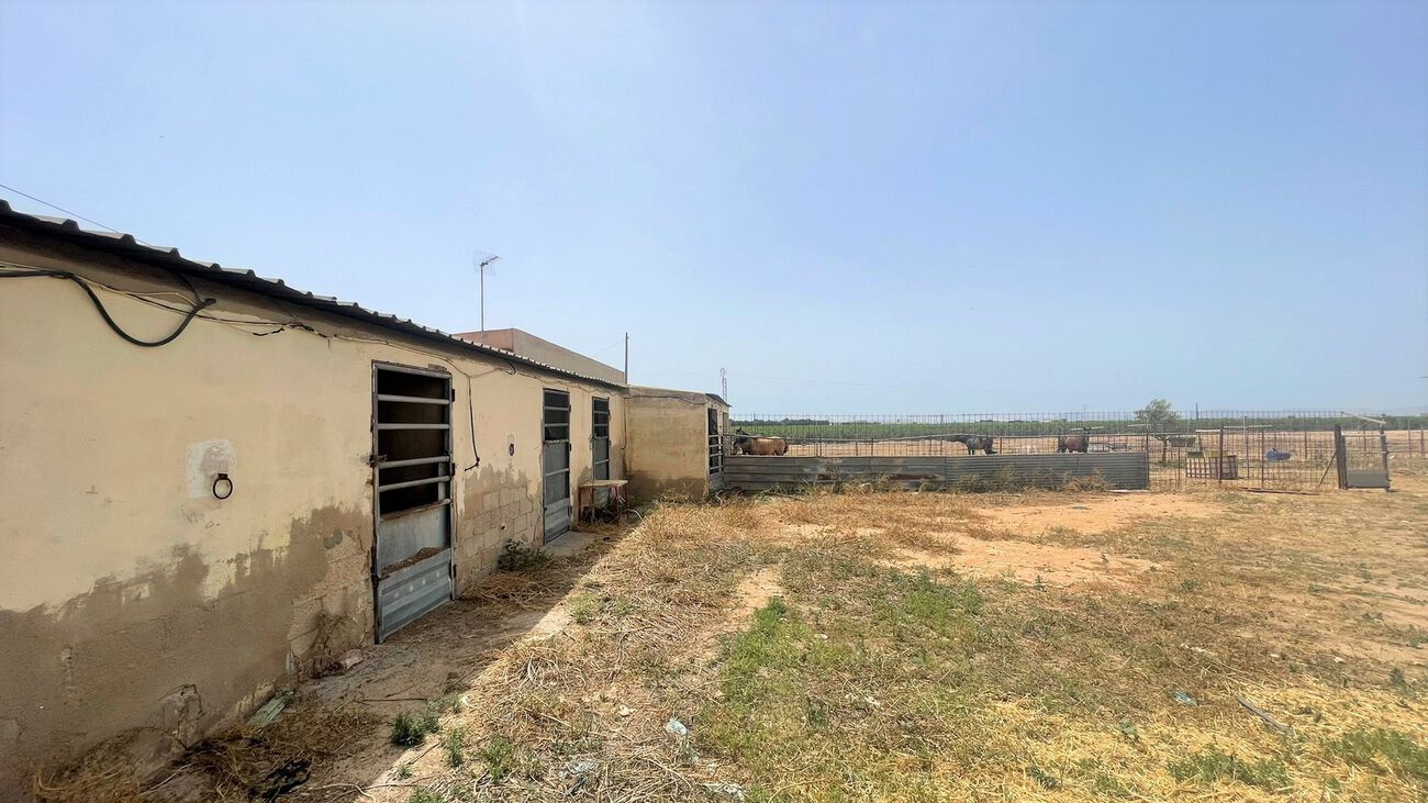 Commercial for Sale in Balsicas, Murcia