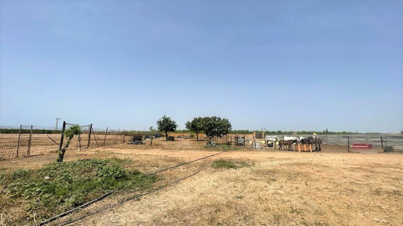 Commercial for Sale in Balsicas, Murcia