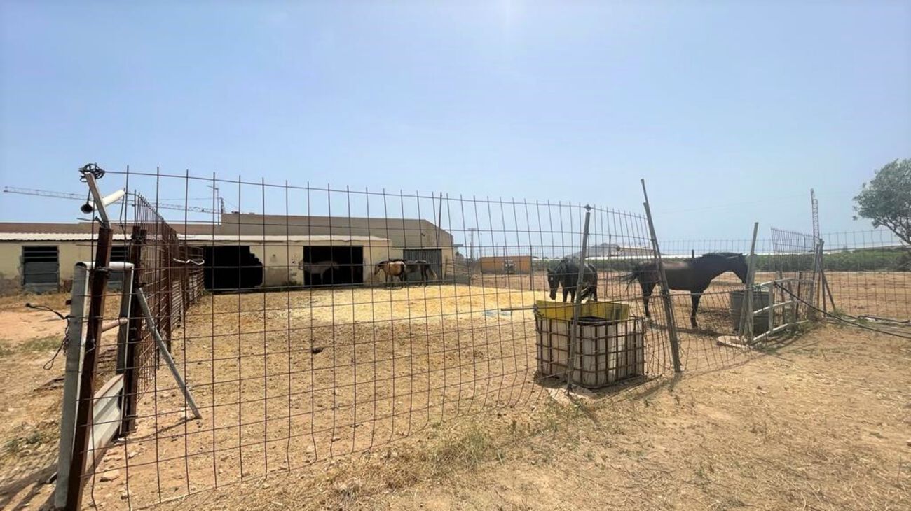 Commercial for Sale in Balsicas, Murcia