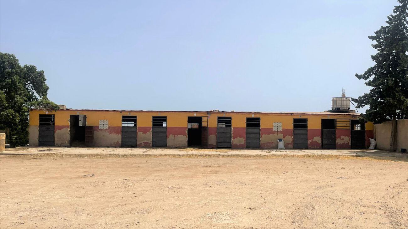 Commercial for Sale in Balsicas, Murcia
