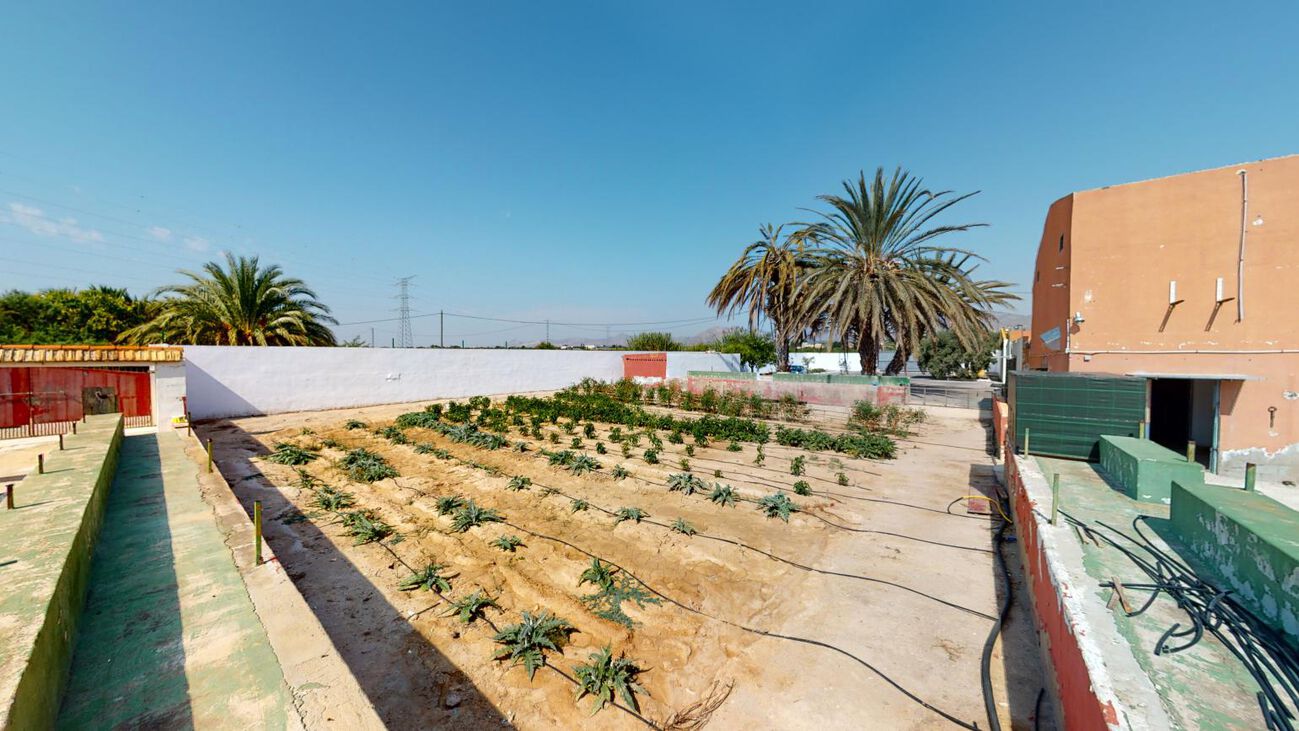 Town House for Sale in Albatera, Alicante