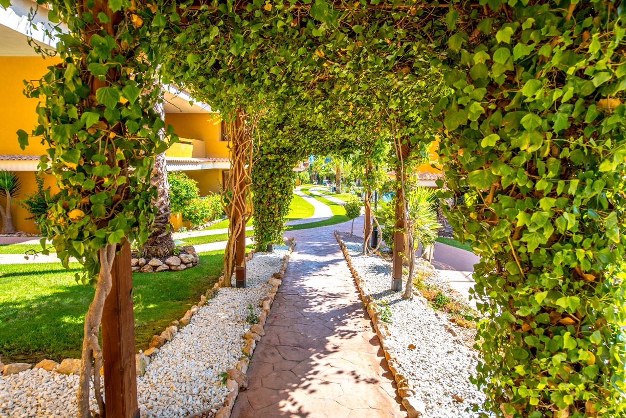 Apartment for Sale in Torrevieja, Alicante