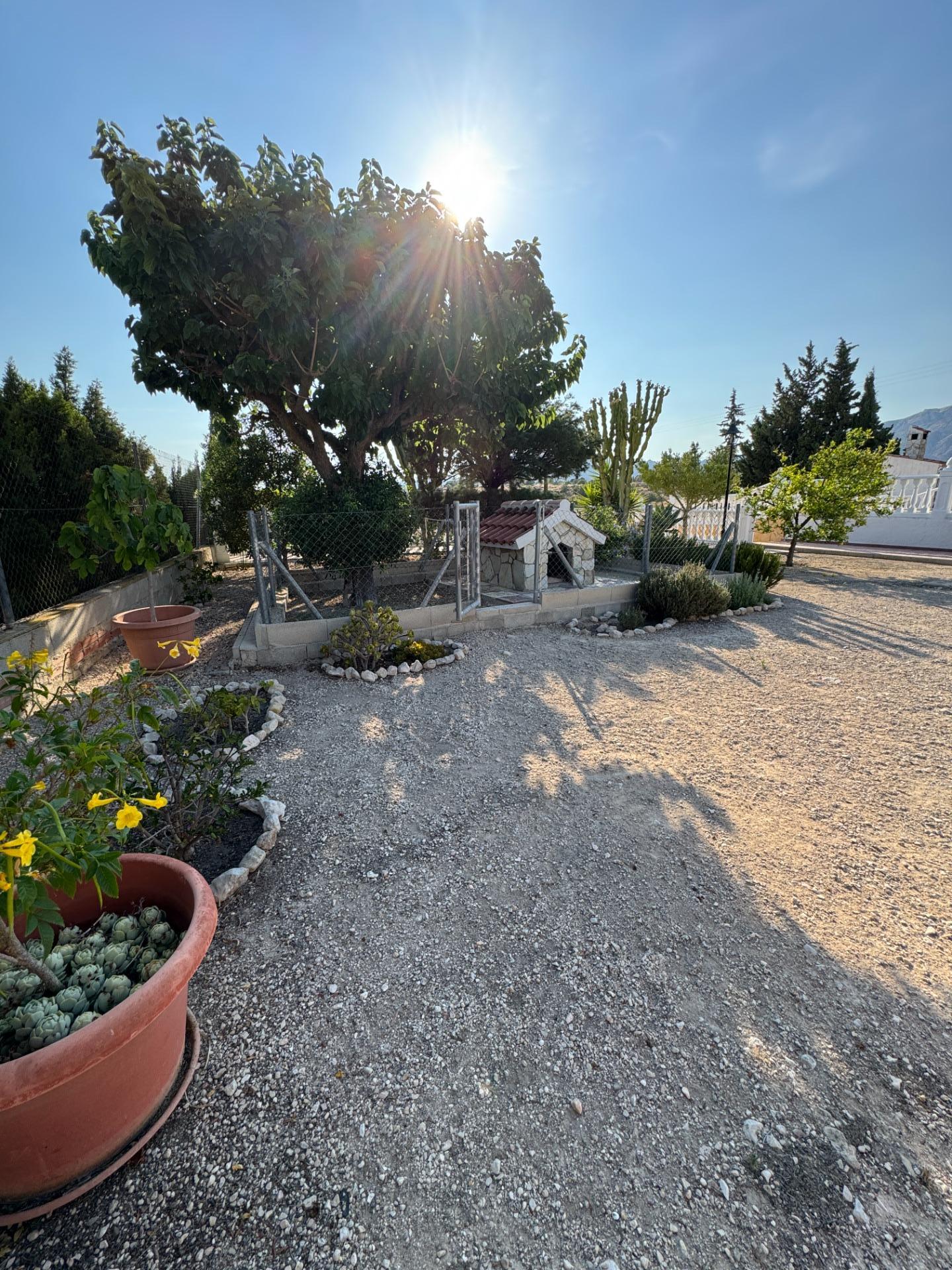 Villa for Sale in Albatera, Alicante