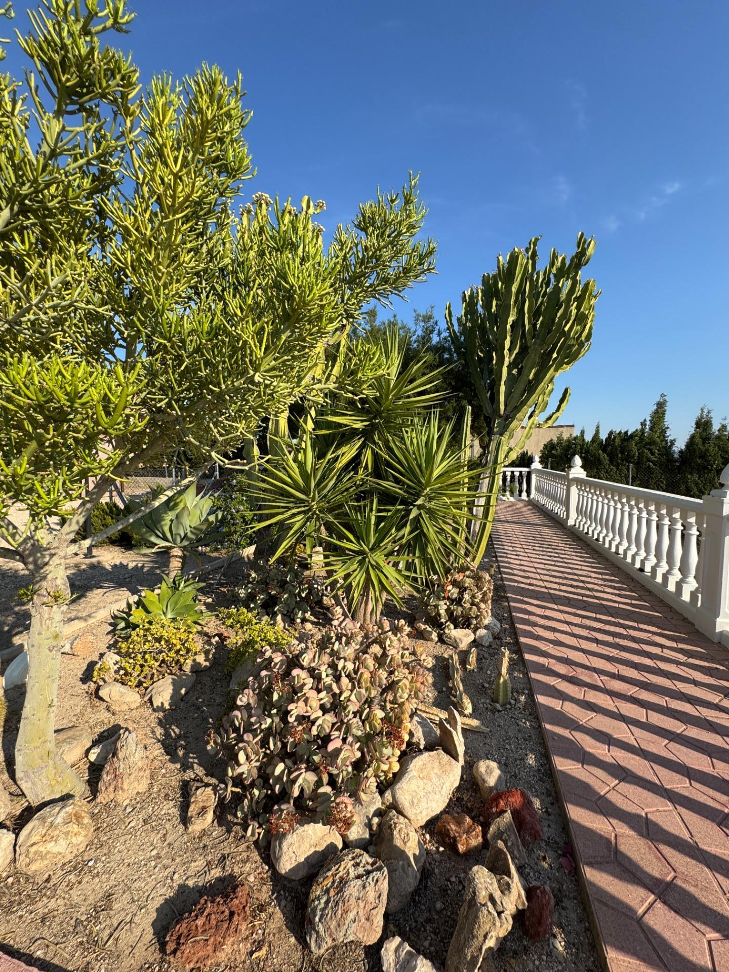 Villa for Sale in Albatera, Alicante