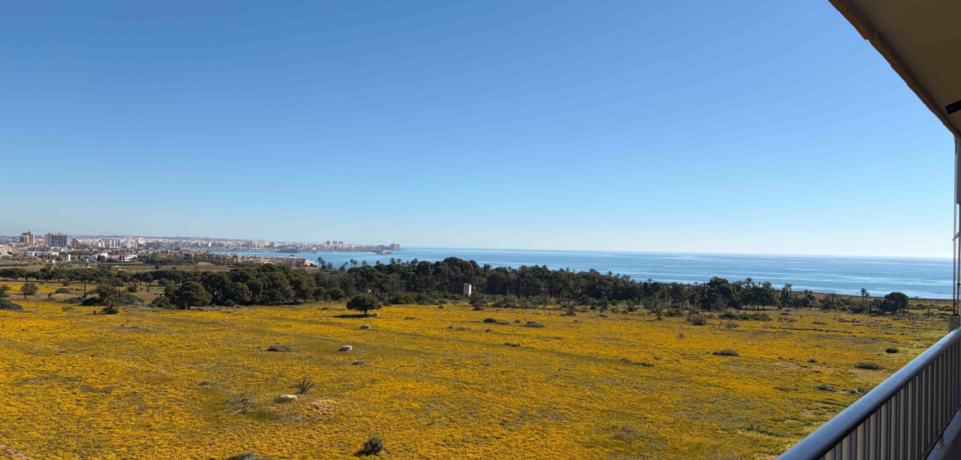 717980_xl Apartment for Sale in Orihuela Costa, Alicante