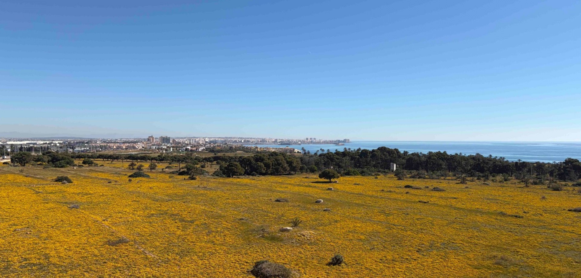 Apartment for Sale in Orihuela Costa, Alicante