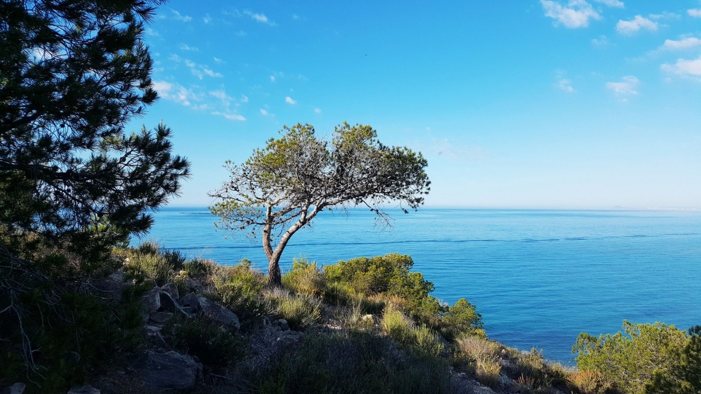 RESIDENTIAL APARTMENT 50M FROM THE BEACH