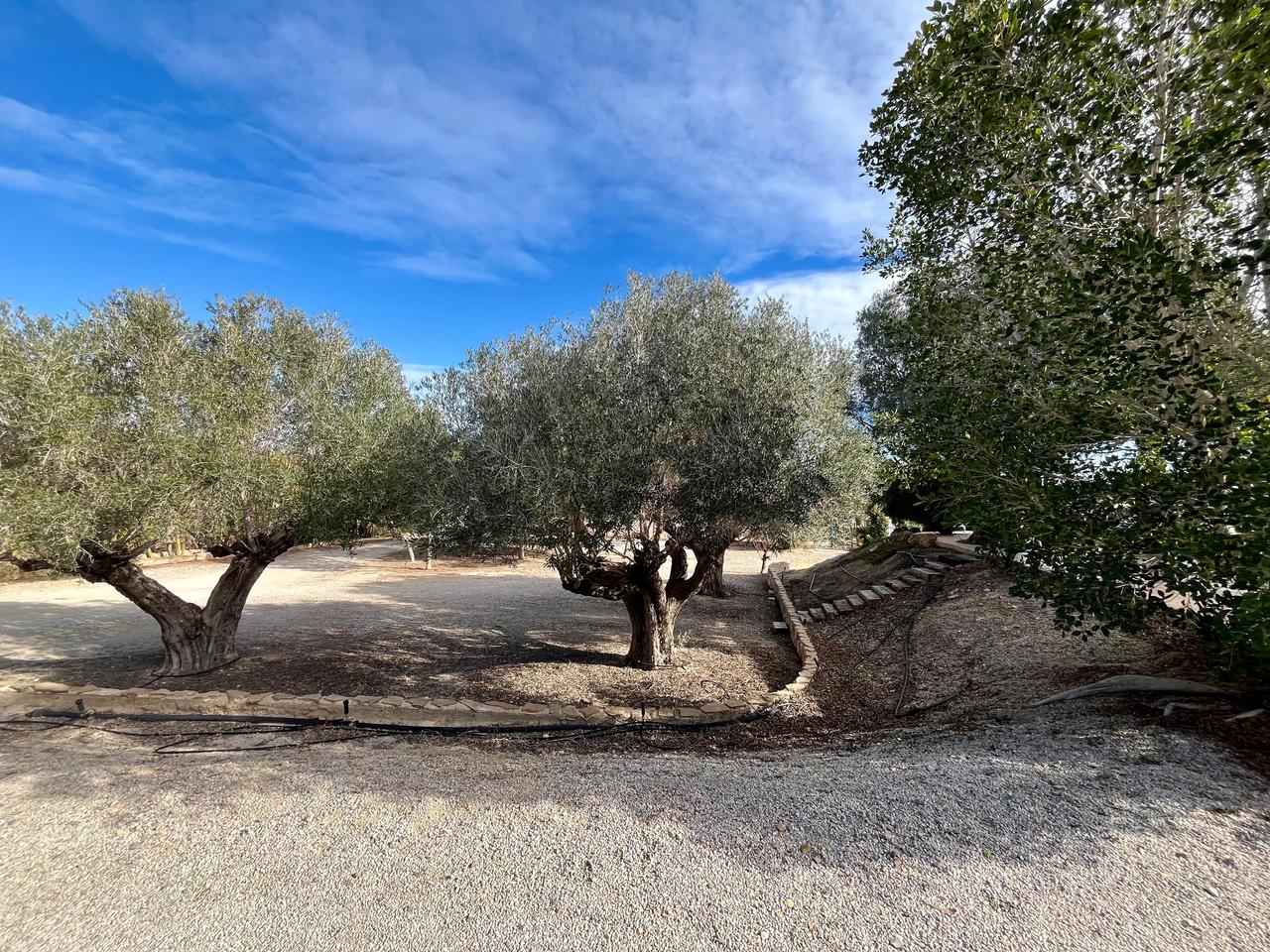 Villa for Sale in El Esparragal, Murcia
