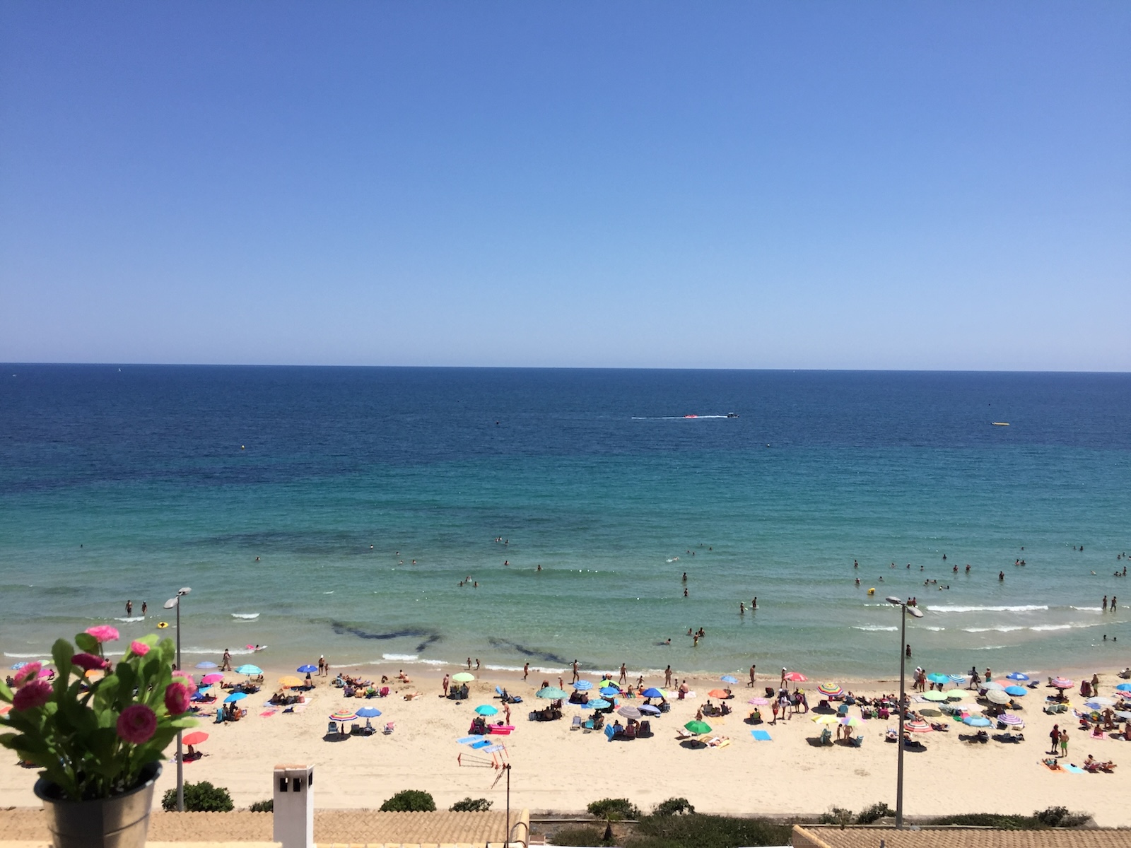 Apartment for Sale in Mil Palmeras, Alicante