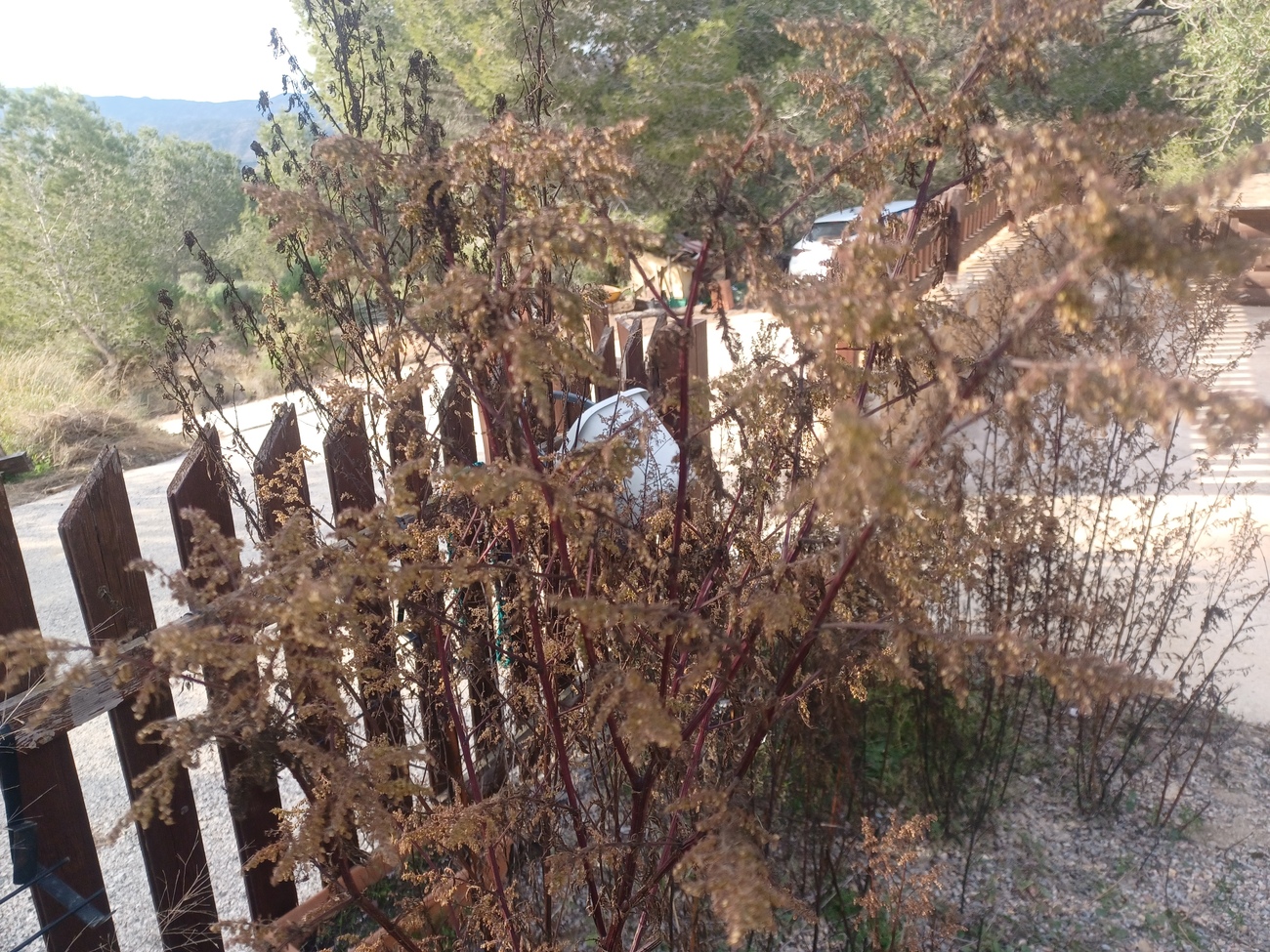 Finca for Sale in Gea Y Truyols, Murcia